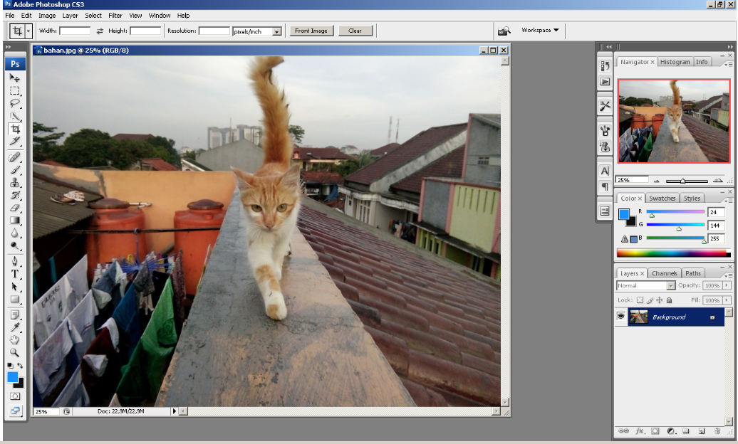Cara Membuat Foto Hitam Putih Di Photoshop Cs6 - Membuat Itu