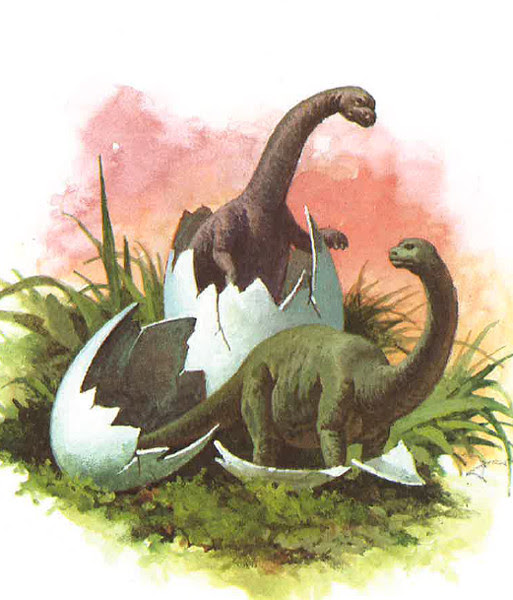 Baby 'Pods