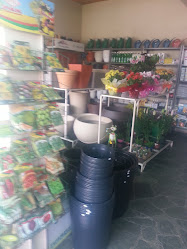 Flor de Seda Floricultura