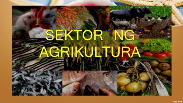 Kahalagahan ng Agrikultura Pangingisda at Paggugubat