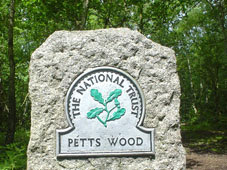 Petts Wood