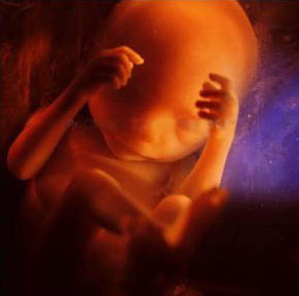 Incredible Photos: A
Child is Born Incredible Photos: A Child is Born