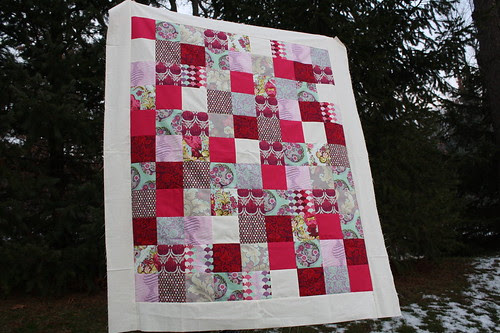 Pomegranate Parisville Quilt Top
