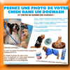 DOGWASH CONCOURS PHOTO (Facebook - Instagram) DOGWASH CONCOURS PHOTO (Facebook - Instagram)