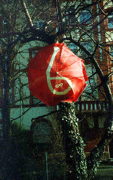 sunumbrella Mainz