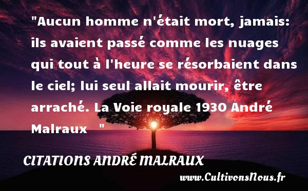 Citation Nuage Amour freeCitation