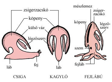 nyári élmény rajzok gyerekeknek