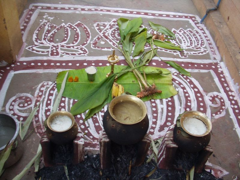படிமம்:Preparation of Pongal.jpg