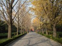 Free Image Hosting at www.ImageShack.us