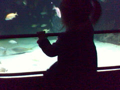 Celeste in the Big Tank