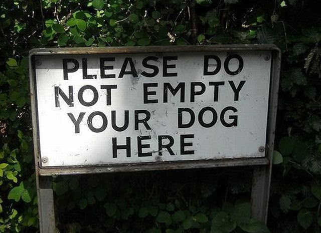 Daily Picdump Daily Picdump