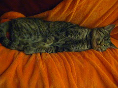 Maggie snuggled in against Jeni