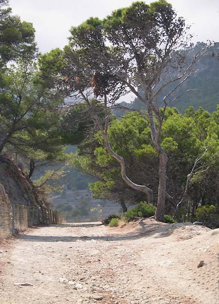 Mallorca
