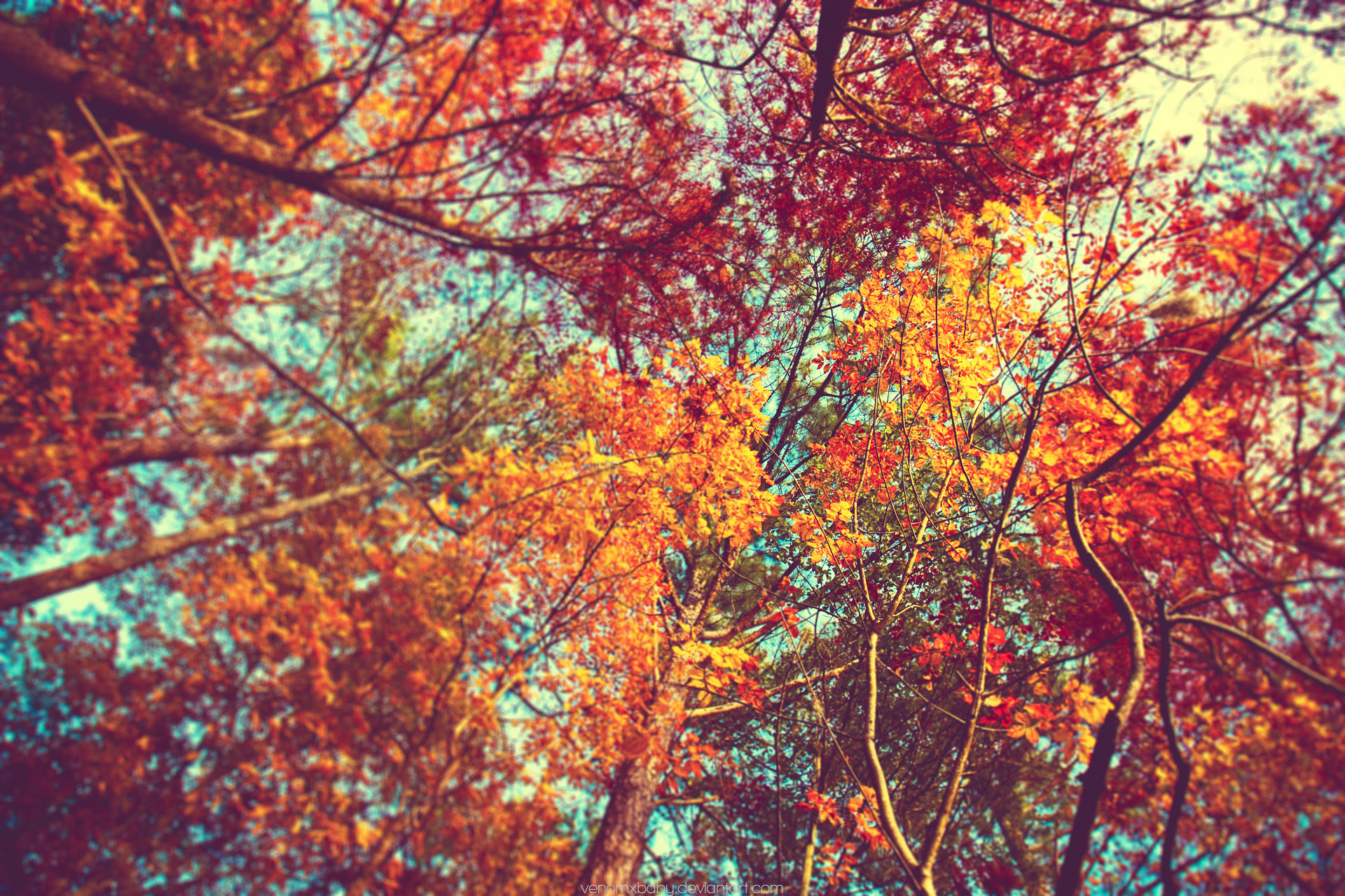 12 Desktop Background Cute Autumn Wallpaper Basty Wallpaper