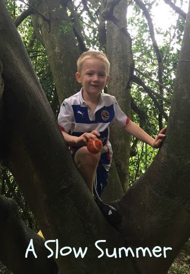 boy in tree