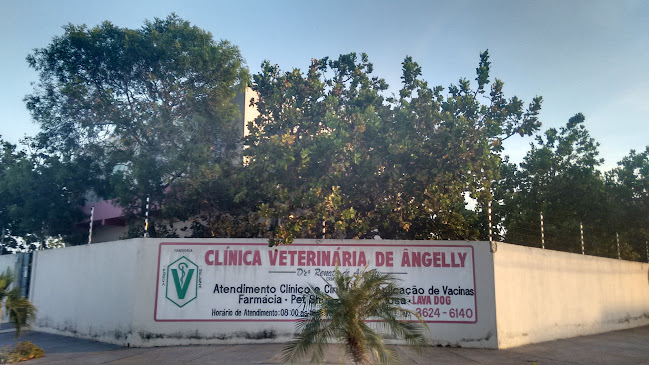 Avaliações sobre Clínica Veterinária de Ângelly em Boa Vista - Veterinário