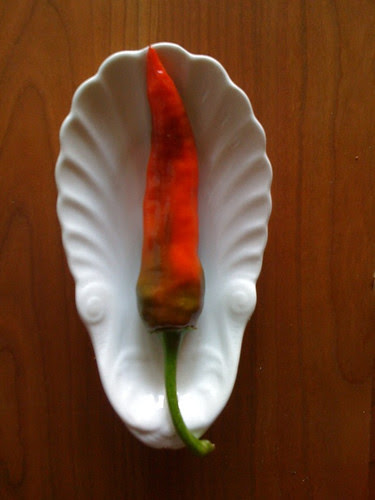 Fenir Chile Pepper