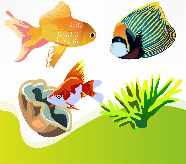 34+ Gambar Ikan Vector Cdr