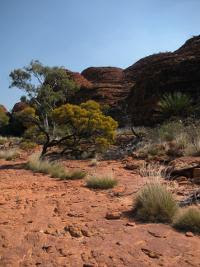Free Image Hosting at www.ImageShack.us