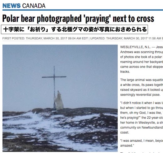 宇宙船ポチョムキン Kosmicheskij Korabl Potyomkin カナダ 極東のニューファンドランド島で 十字架にお祈りする北極グマ が撮影される