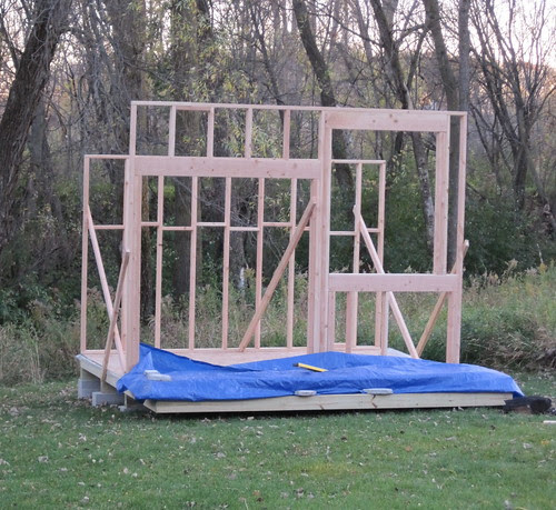 shed day two, front and back walls