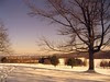 Winter Ski Trails in Utica