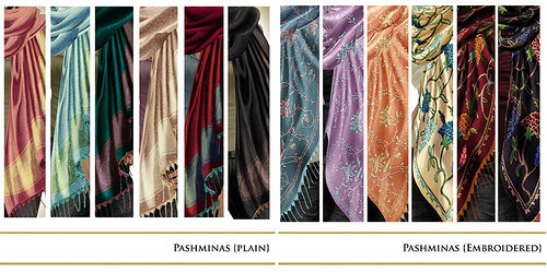pashmina all
