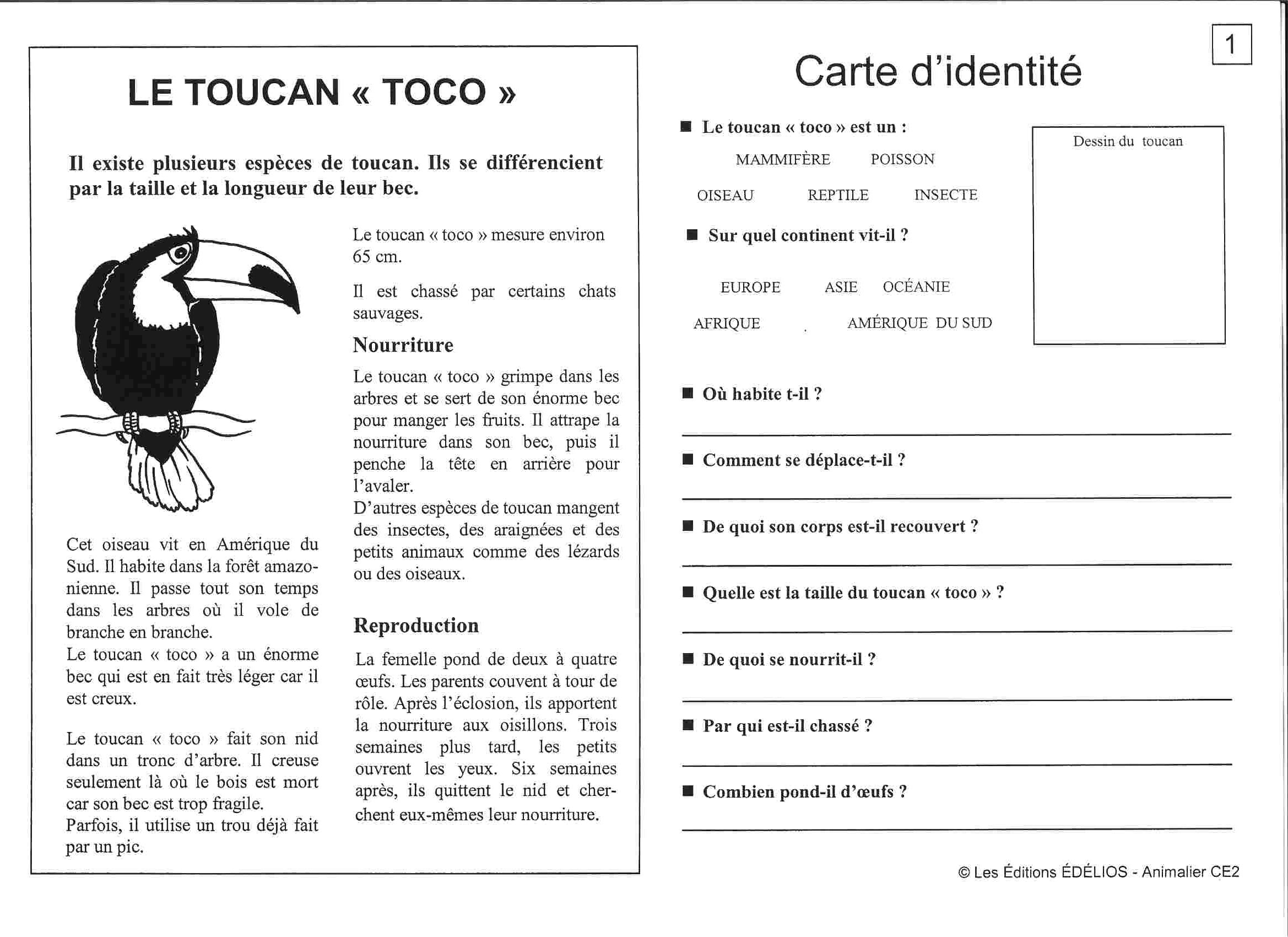 Exemple De Texte Descriptif D Un Animal  Le Meilleur Exemple