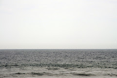 atlantic_4307_1 web