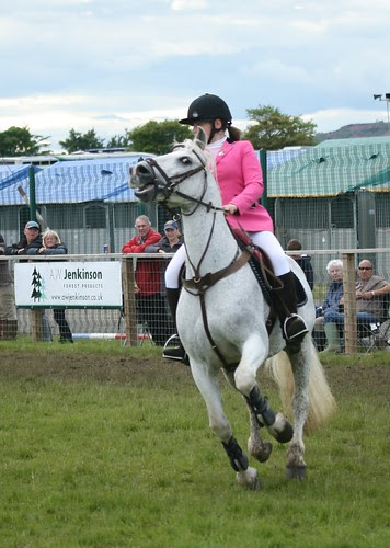 Showjumping