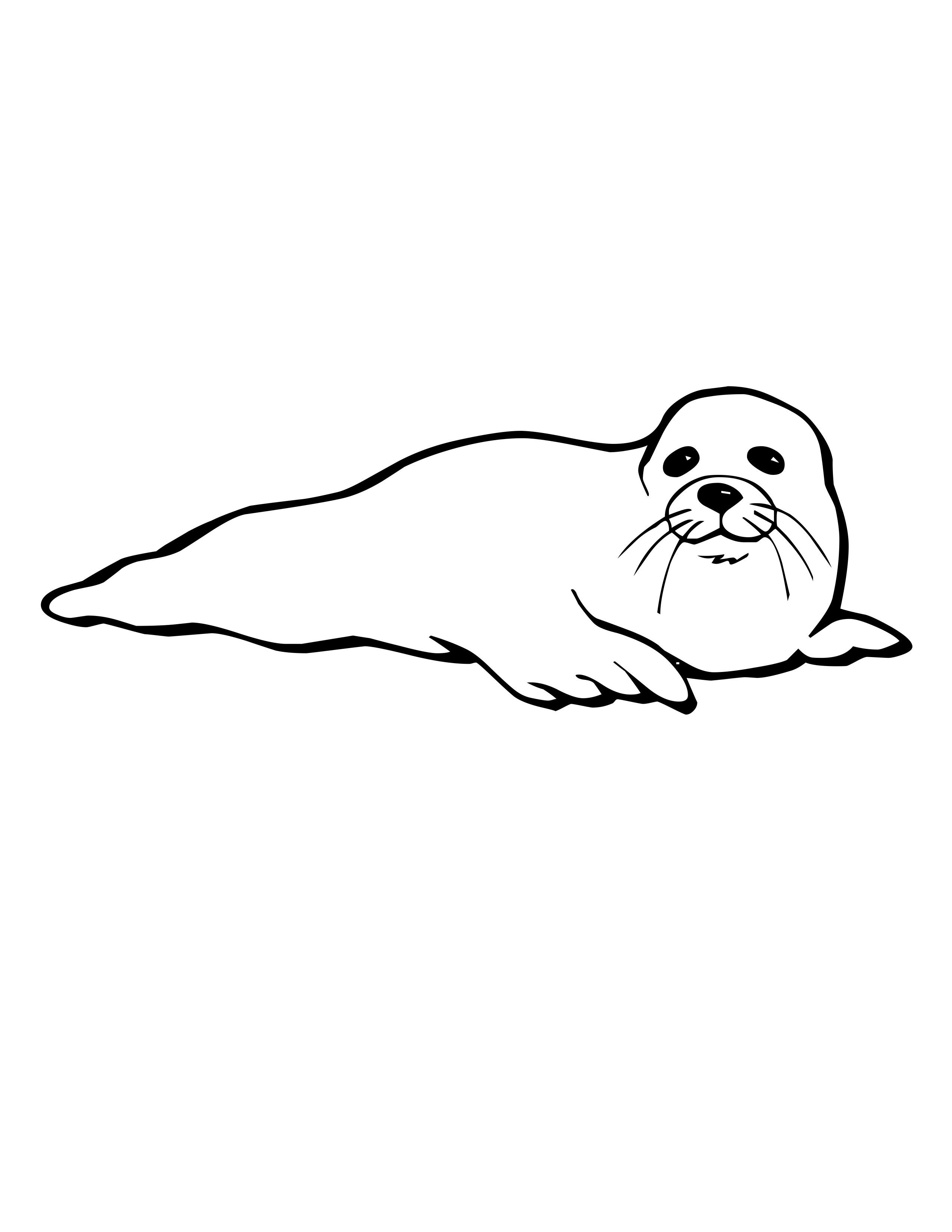 Harp Seal Drawing Easy - haarp project 2020