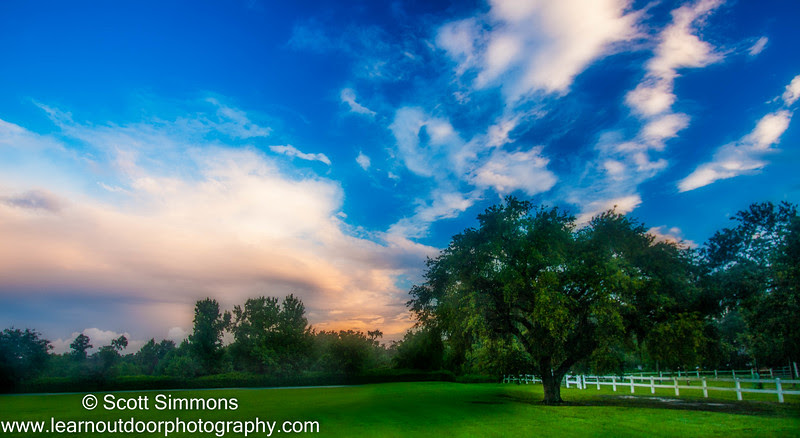 Photo & Video Sharing by SmugMug Photo & Video Sharing by SmugMug