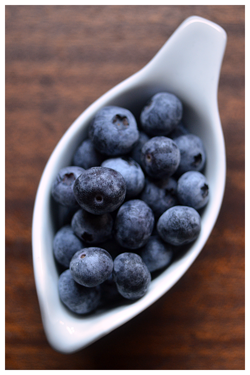blueberries© by Haalo