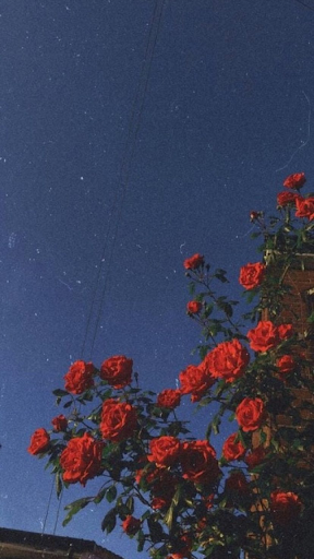 Aesthetic Grunge Rose Gold Aesthetic Iphone Tumblr Wallpaper