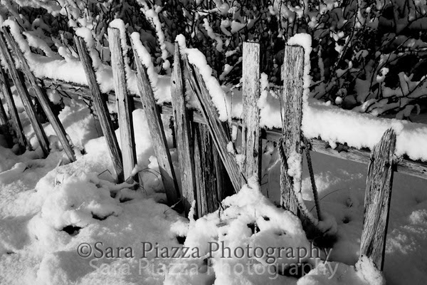 snow, Edgartown