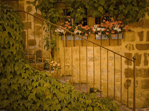 P6221110_1 (by X-it) P6221110_1 (by X-it)