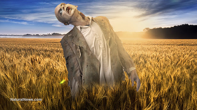 Kansas