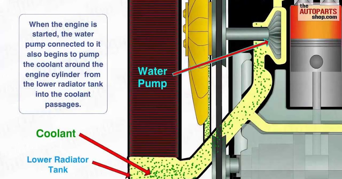 Diagram Of Car Engine Cooling System - How To Find Leaks In Your