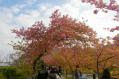 20130320 (19)