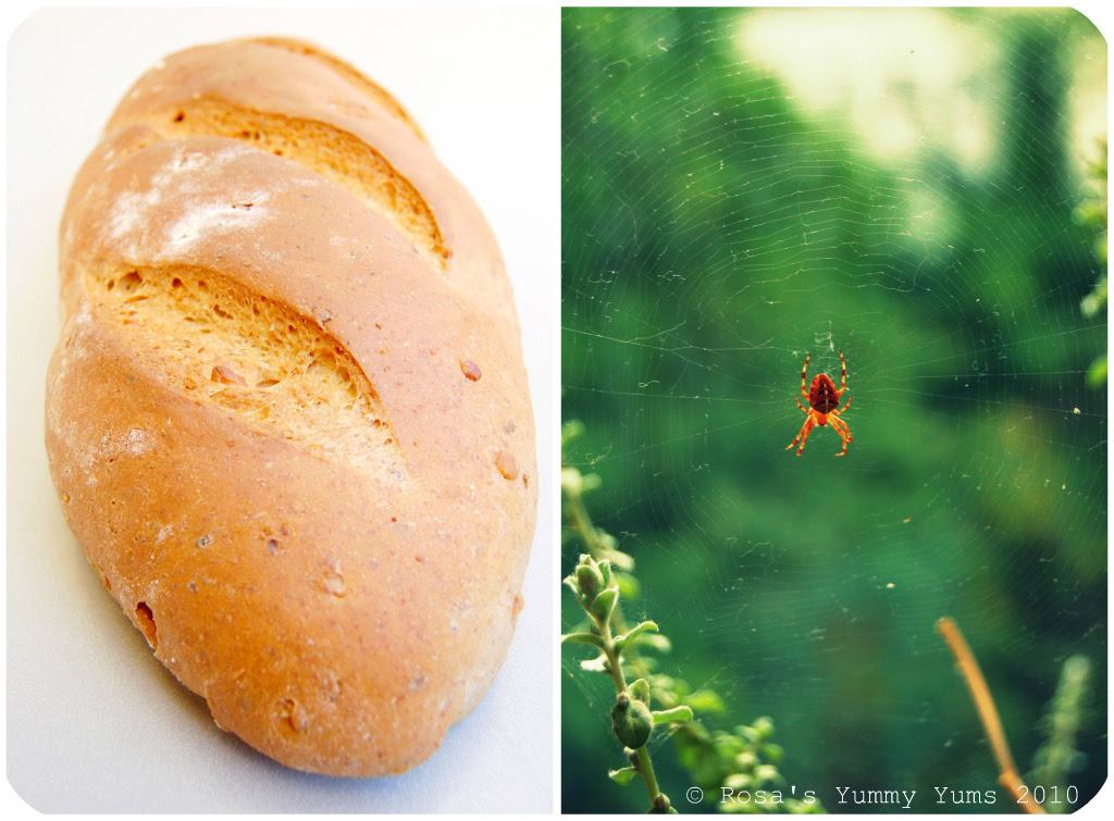 Walnut Bread Picnik-Collage 2 bis