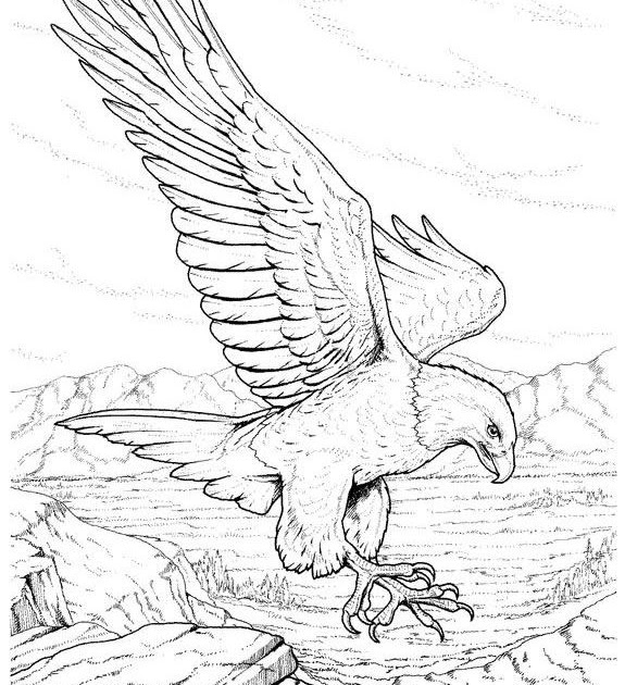 Cartoon Eagle Coloring Pages - Inerletboo