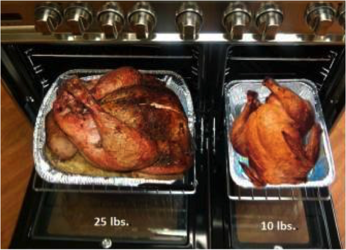 DJAMPOT How To Cook A 20Lb Turkey In The Oven