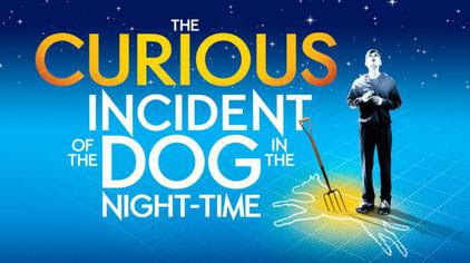 The Curious Incident of the Dog in the Night-Time (play).jpg