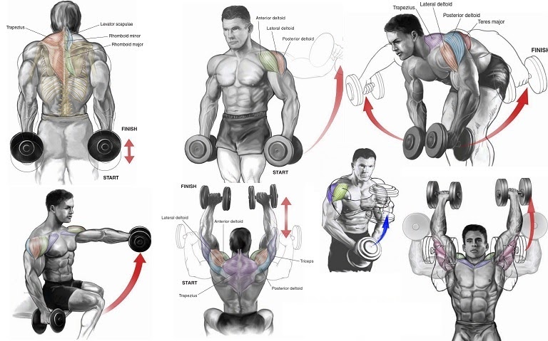 build-a-shed-chest-workout-routine-dumbbells-only