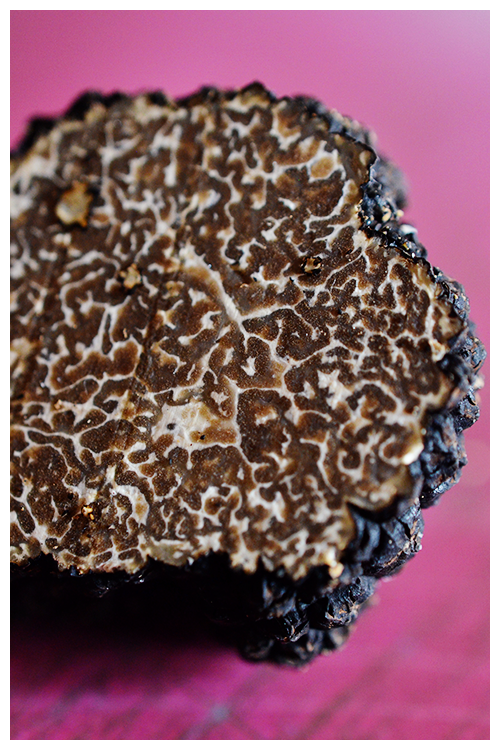 black truffle© by Haalo