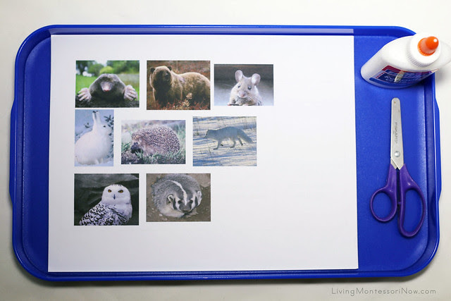 Animals in The Mitten Book-Making Tray Animals in The Mitten Book-Making Tray