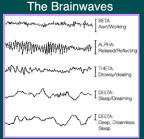 InspiredHeart: Understanding Delta waves, by Suzanne Lie.