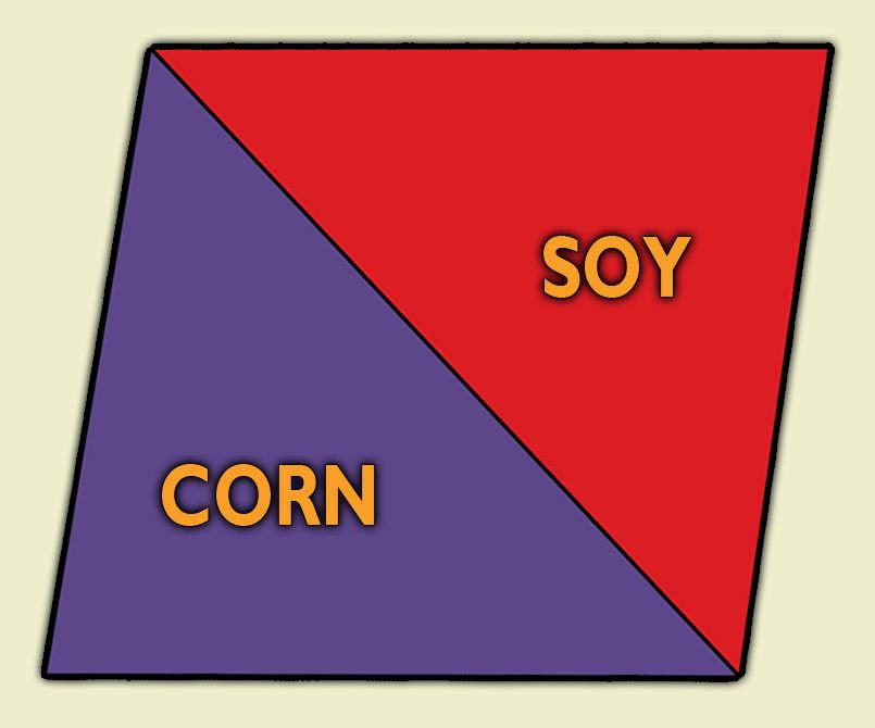 Rhombus o’ Nutrition