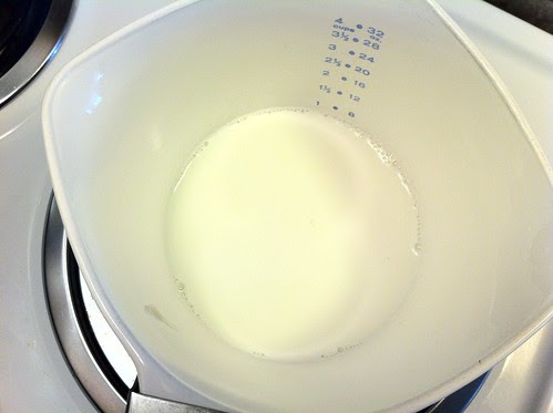 Goat Milk Transferred to Saucemaker