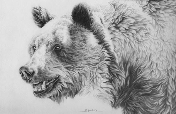Teddy Bear Drawing Realistic - bmp-ever